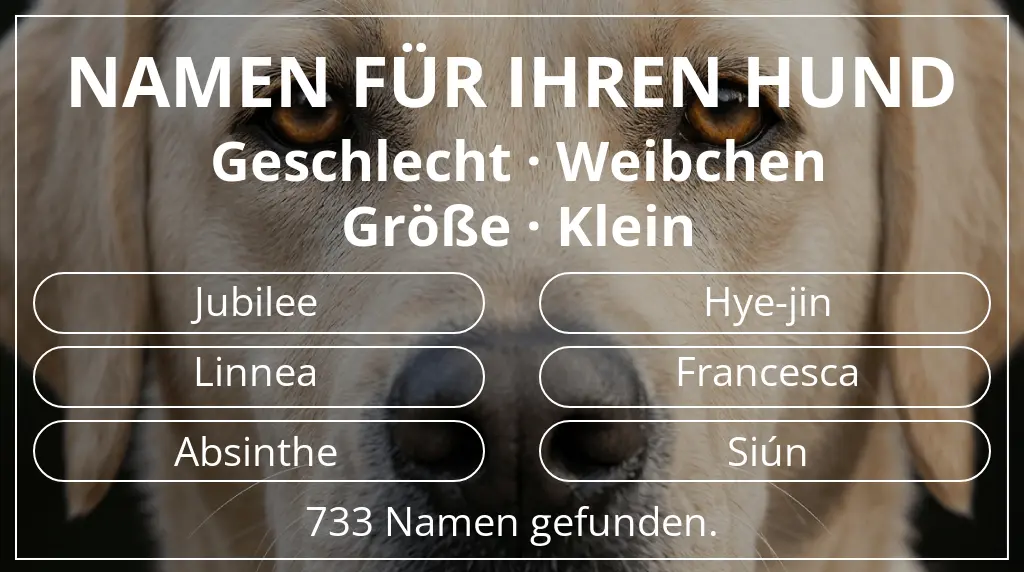 Hundenamen inspiriert von geschlecht weibchen und größe klein