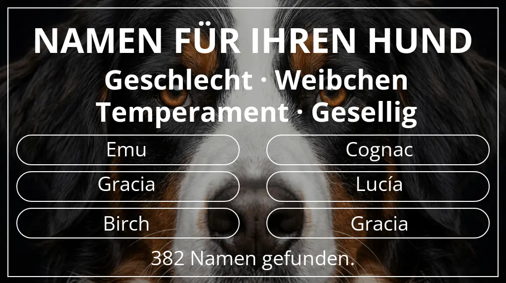 Hundenamen basierend auf geschlecht weibchen und temperament gesellig