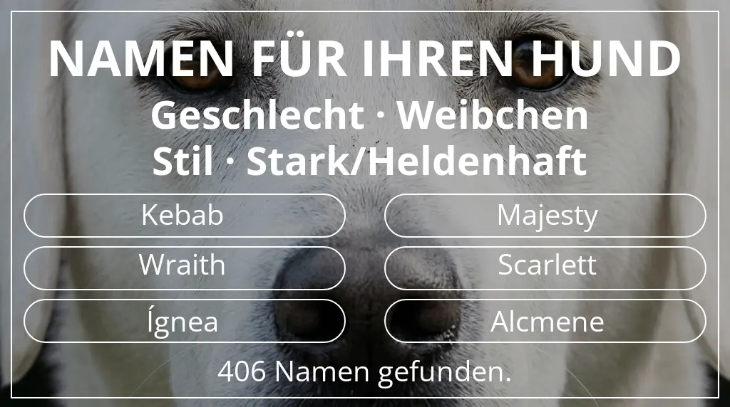 Hundenamen inspiriert von geschlecht weibchen und stil stark/heldenhaft