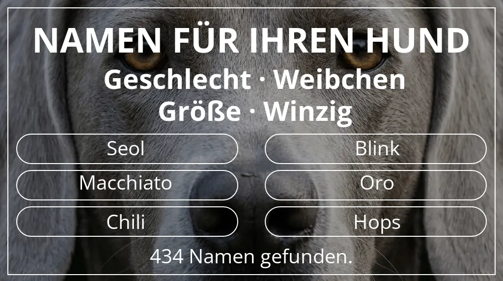 Namen für Hunde basierend auf geschlecht weibchen und größe winzig