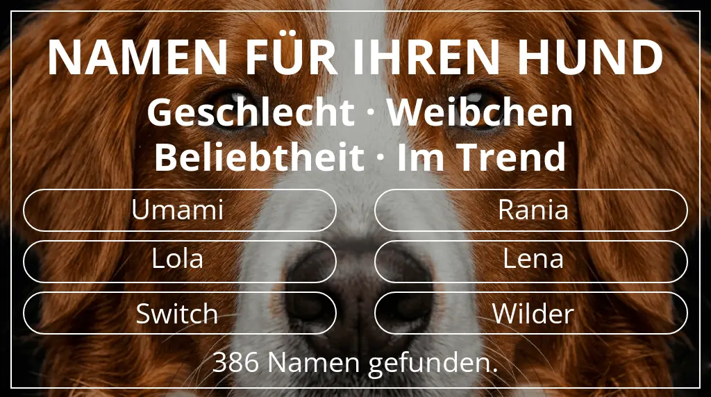 Hundenamen inspiriert von geschlecht weibchen und beliebtheit im trend