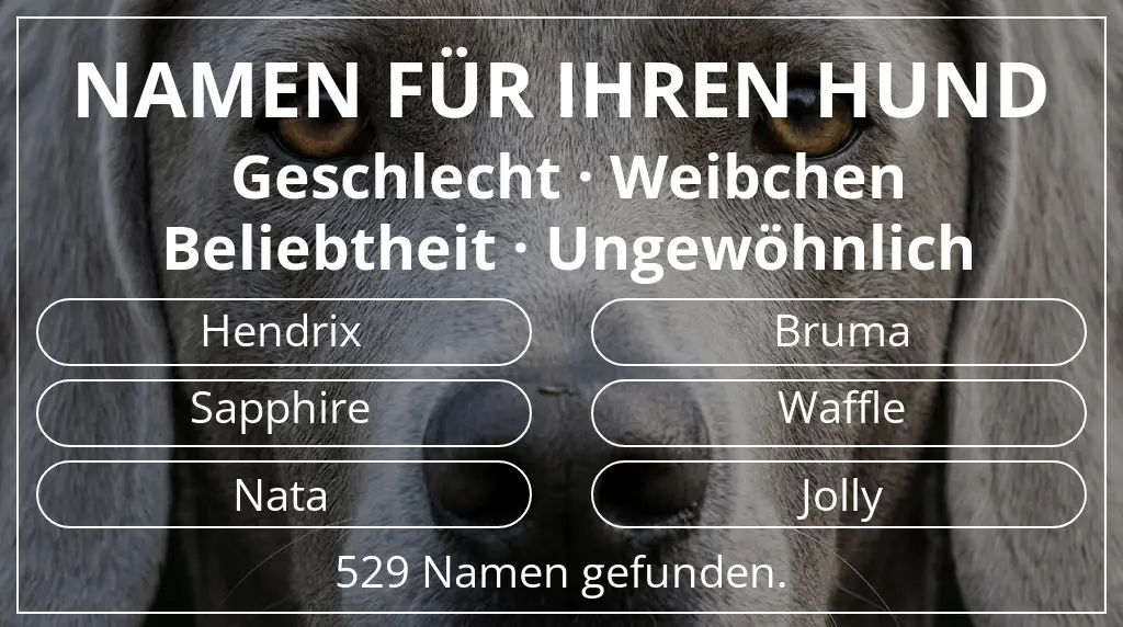 Hundenamen inspiriert von geschlecht weibchen und beliebtheit ungewöhnlich