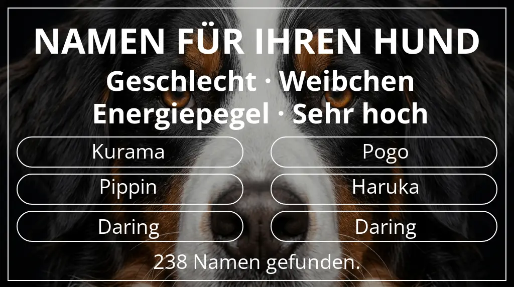 Hundenamen inspiriert von geschlecht weibchen und energiepegel sehr hoch