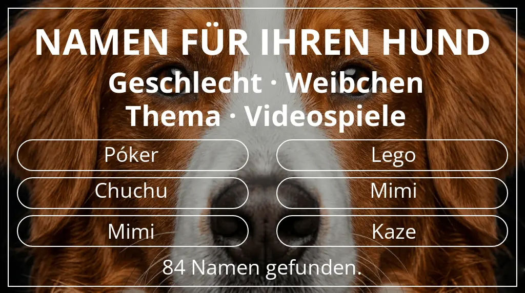 Namen für Hunde basierend auf geschlecht weibchen und thema videospiele