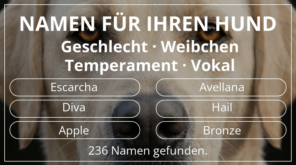 Hundenamen inspiriert von geschlecht weibchen und temperament vokal