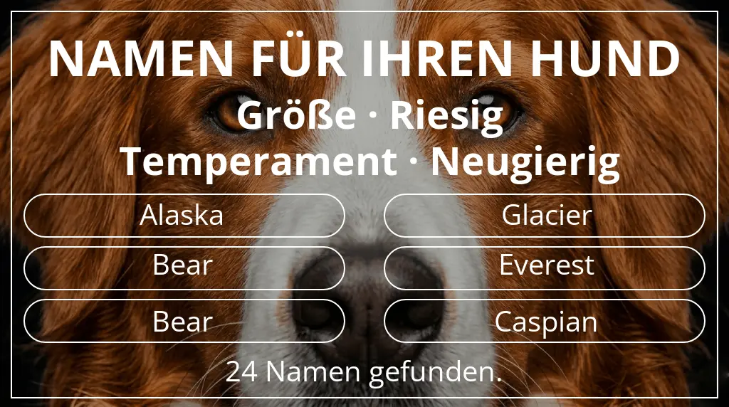 Namen für Hunde basierend auf größe riesig und temperament neugierig