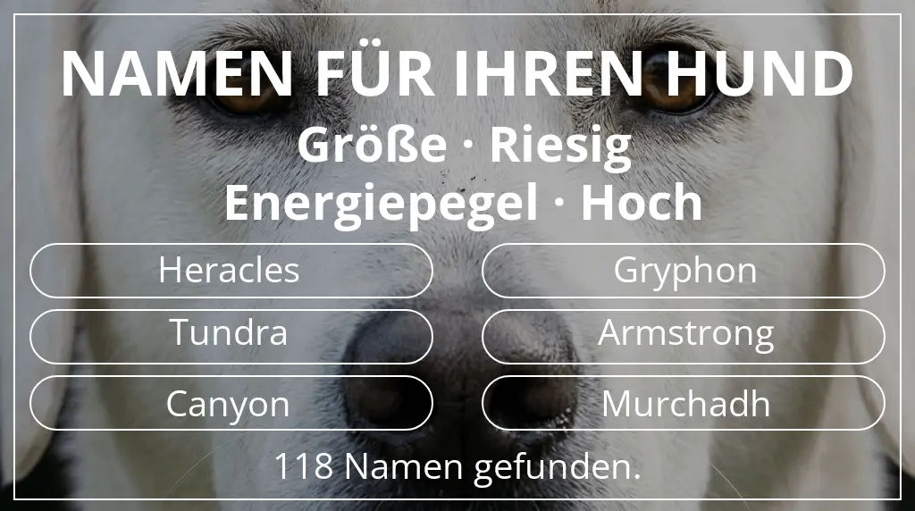 Namen für Hunde inspiriert von größe riesig und energiepegel hoch