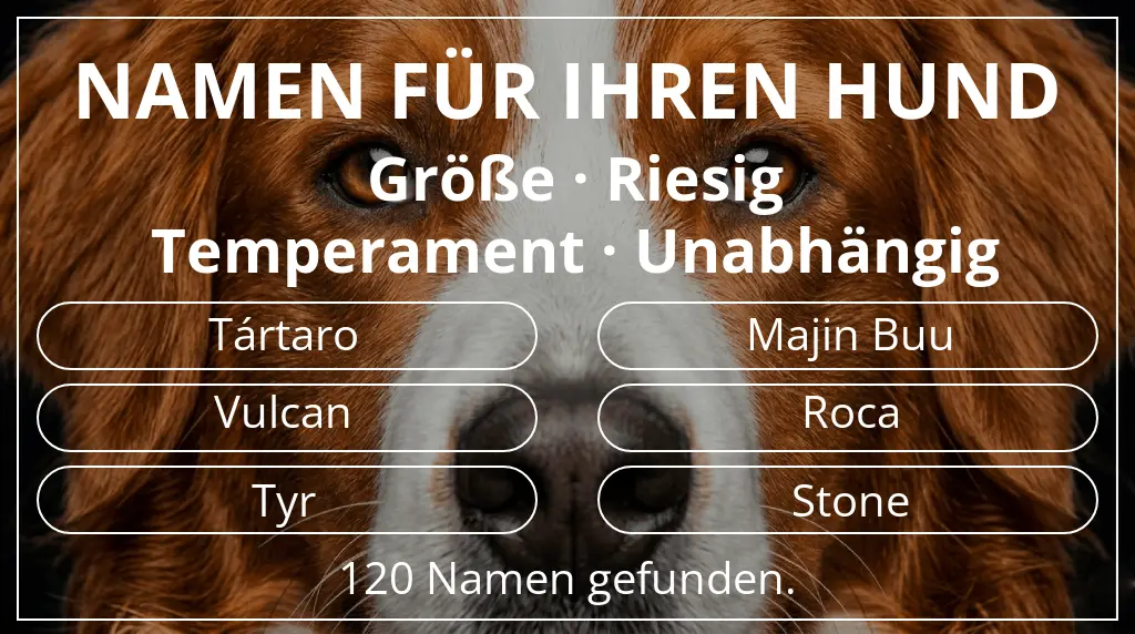 Namen für Hunde basierend auf größe riesig und temperament unabhängig