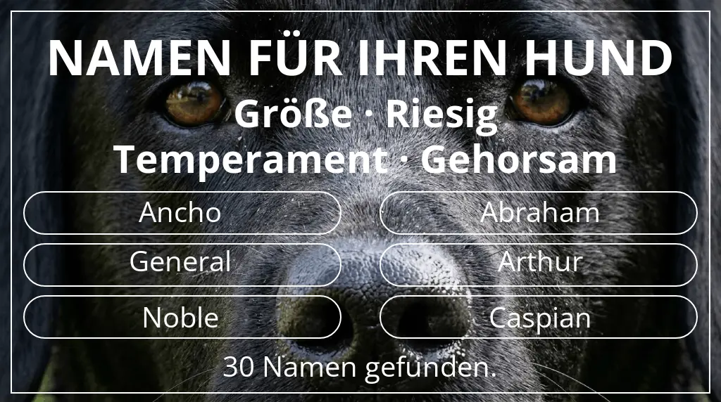 Namen für Hunde inspiriert von größe riesig und temperament gehorsam