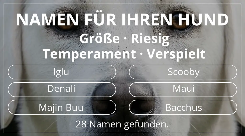Namen für Hunde basierend auf größe riesig und temperament verspielt