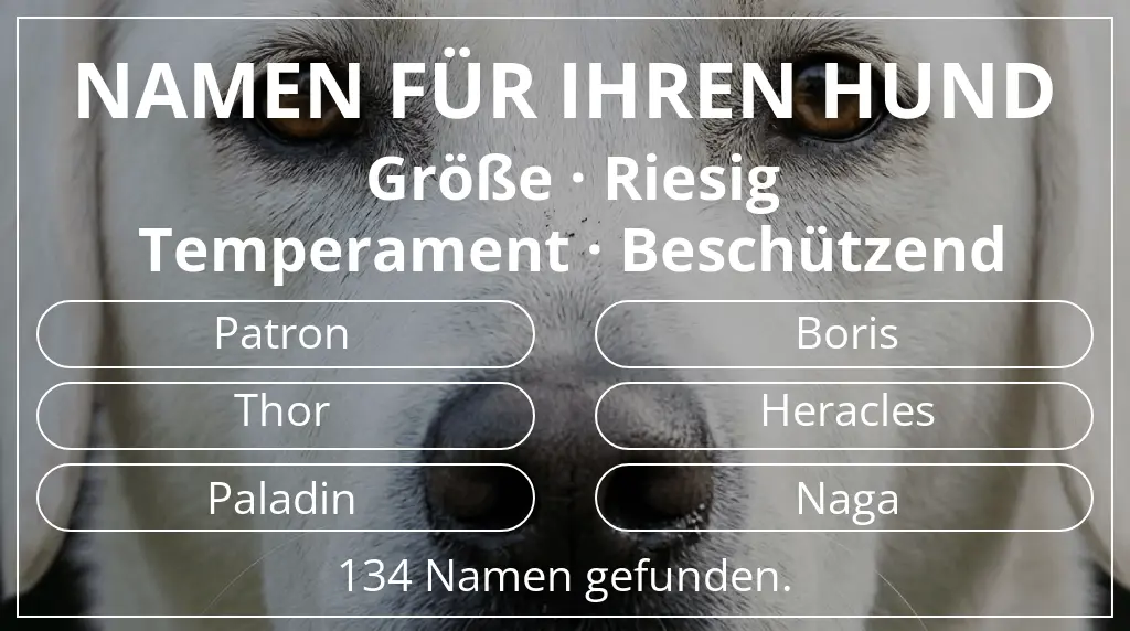 Namen für Hunde inspiriert von größe riesig und temperament beschützend