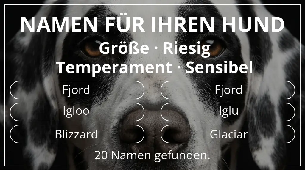 Hundenamen basierend auf größe riesig und temperament sensibel