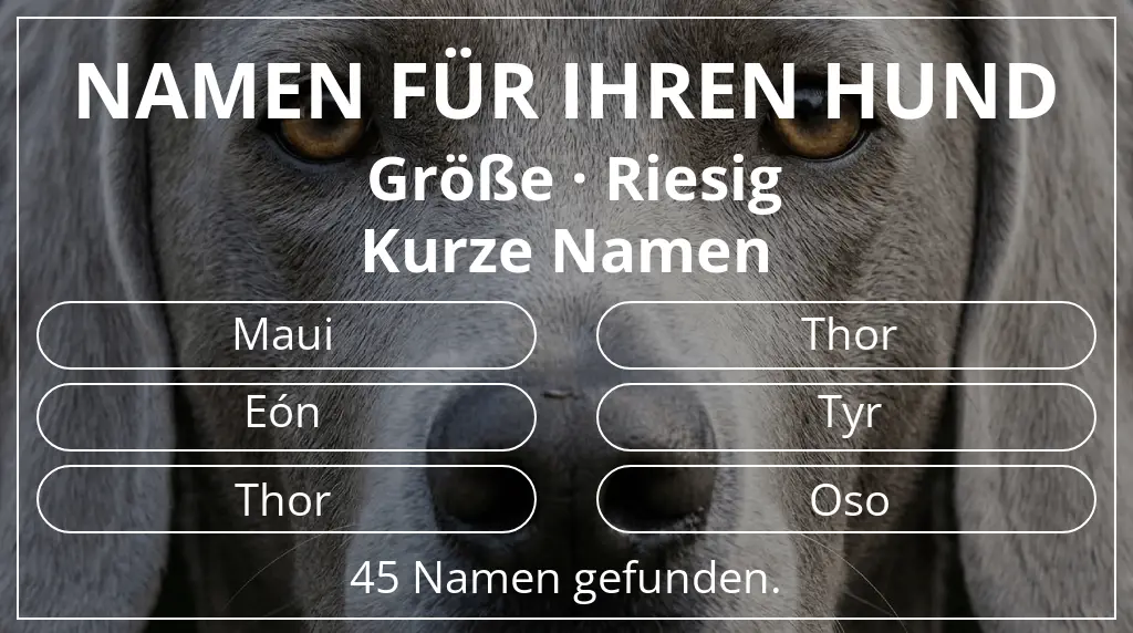 Namen für Hunde basierend auf größe riesig und namenslänge kurz (2–4)