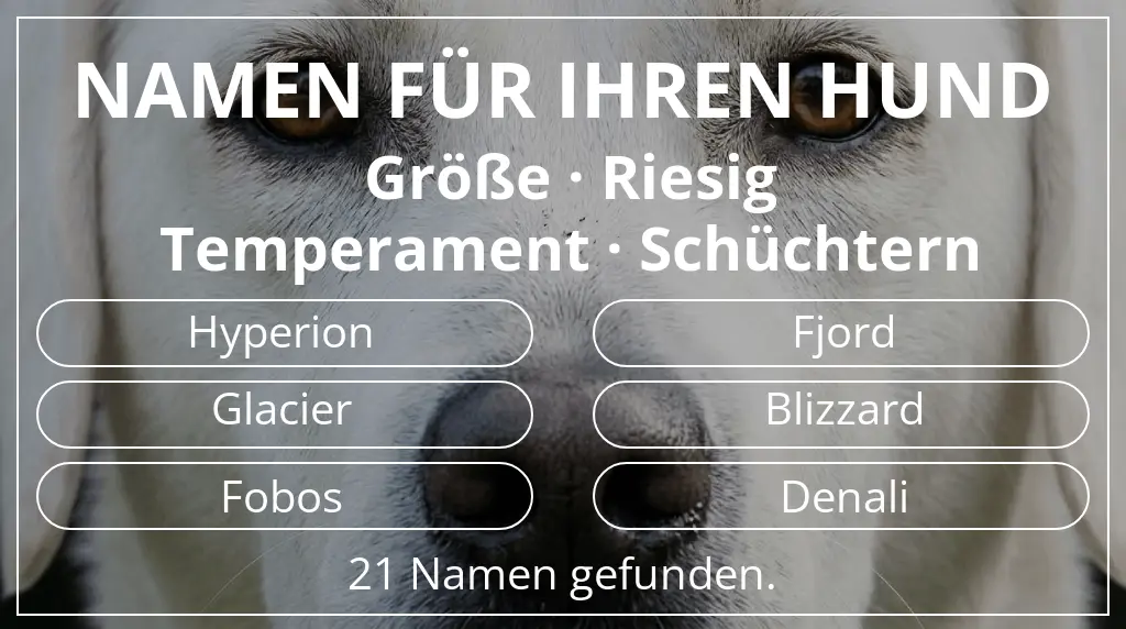 Hundenamen inspiriert von größe riesig und temperament schüchtern