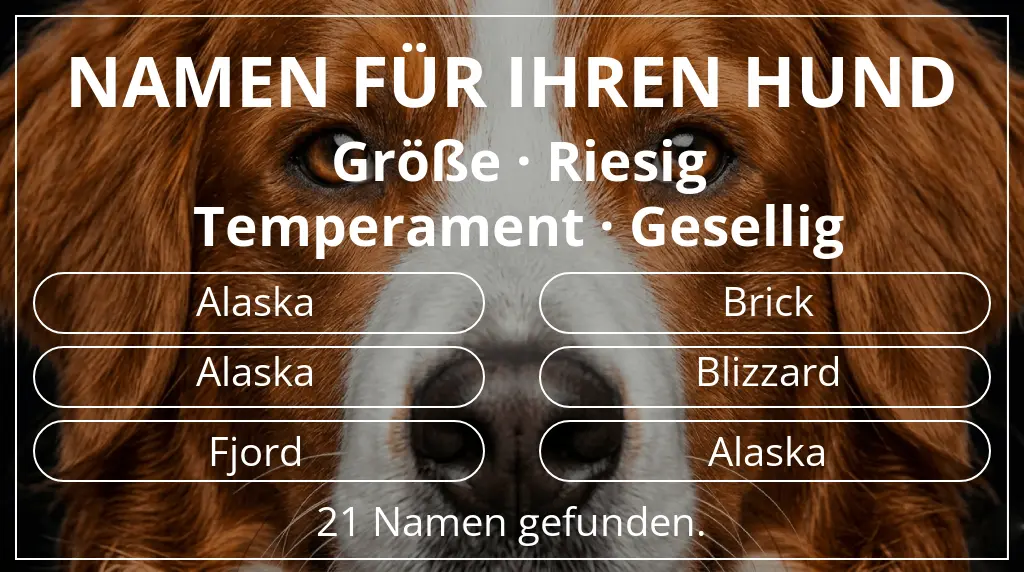 Hundenamen basierend auf größe riesig und temperament gesellig