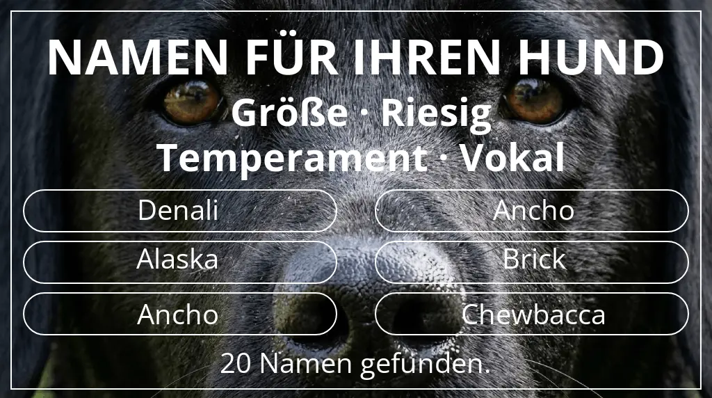 Hundenamen inspiriert von größe riesig und temperament vokal
