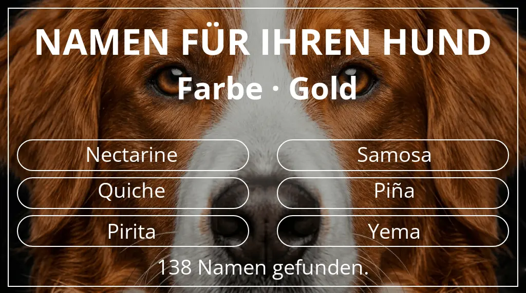 Hundenamen inspiriert von farbe gold