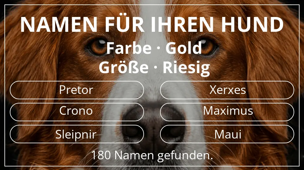 Hundenamen inspiriert von farbe gold und größe riesig