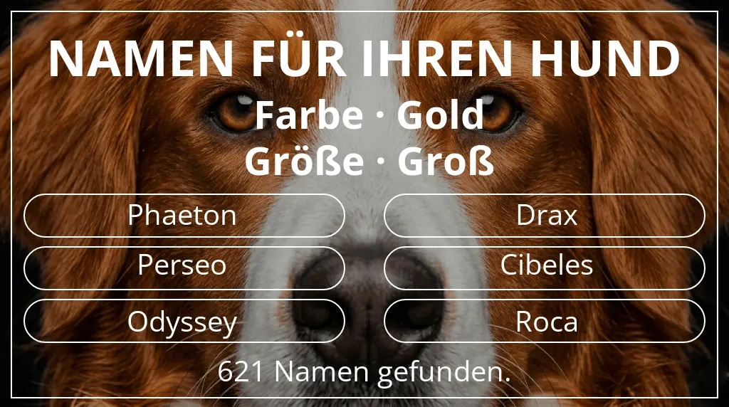 Hundenamen basierend auf farbe gold und größe groß