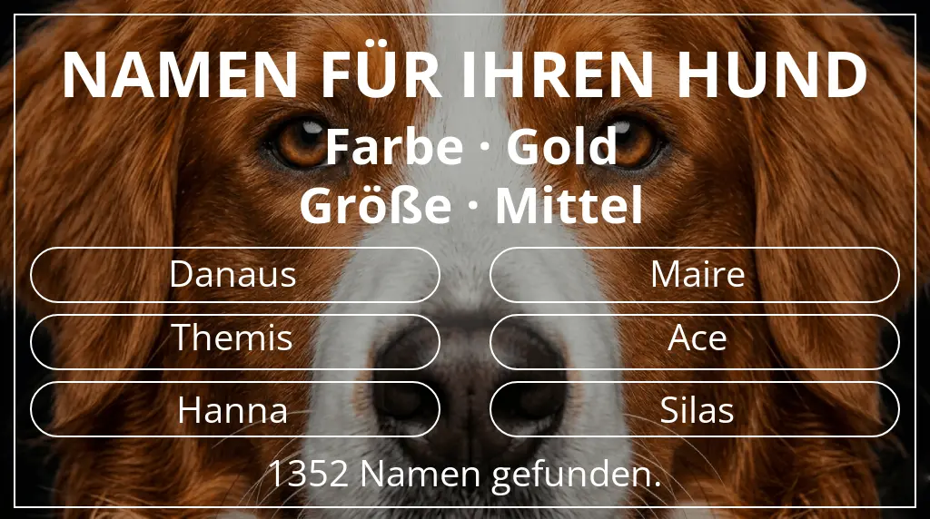 Hundenamen basierend auf farbe gold und größe mittel