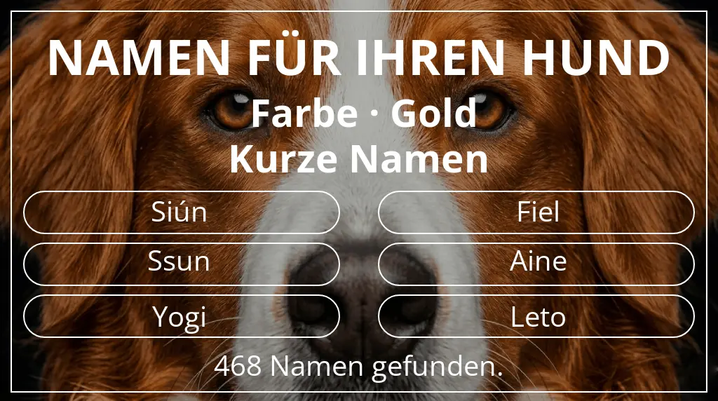 Namen für Hunde basierend auf farbe gold und namenslänge kurz (2–4)