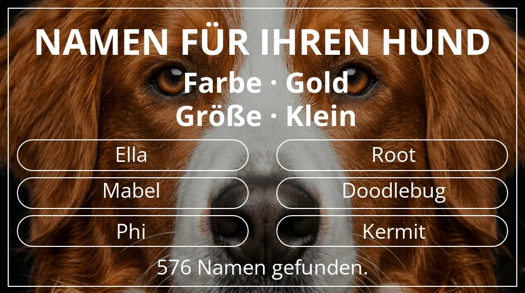 Hundenamen inspiriert von farbe gold und größe klein