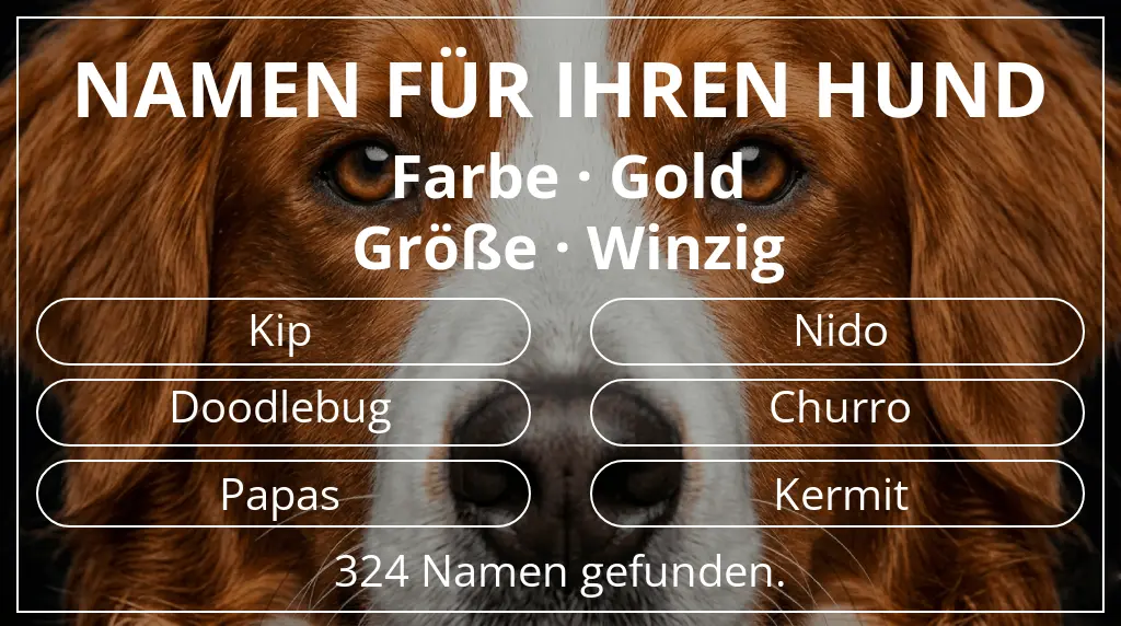 Hundenamen inspiriert von farbe gold und größe winzig