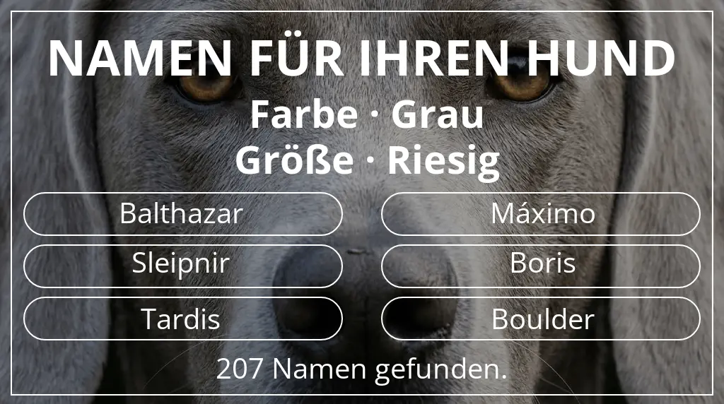 Namen für Hunde inspiriert von farbe grau und größe riesig