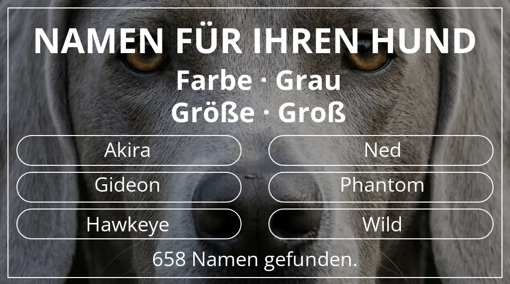 Namen für Hunde inspiriert von farbe grau und größe groß