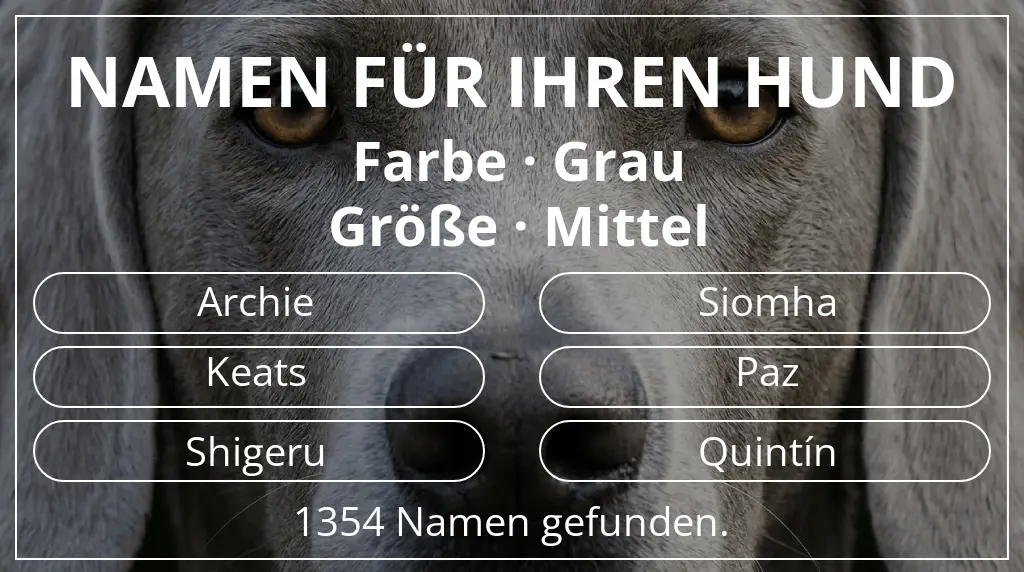 Namen für Hunde inspiriert von farbe grau und größe mittel