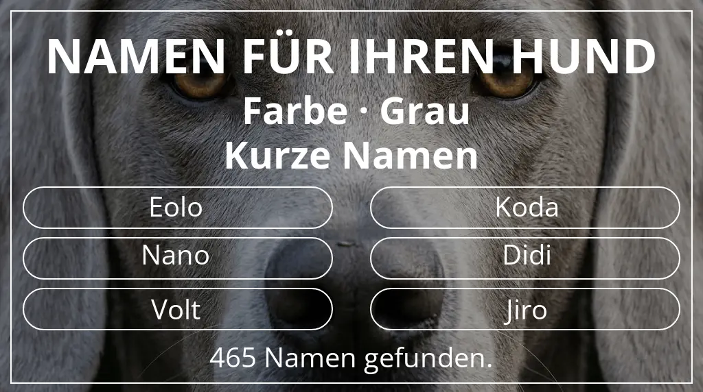 Namen für Hunde inspiriert von farbe grau und namenslänge kurz (2–4)