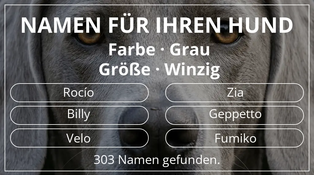 Hundenamen inspiriert von farbe grau und größe winzig