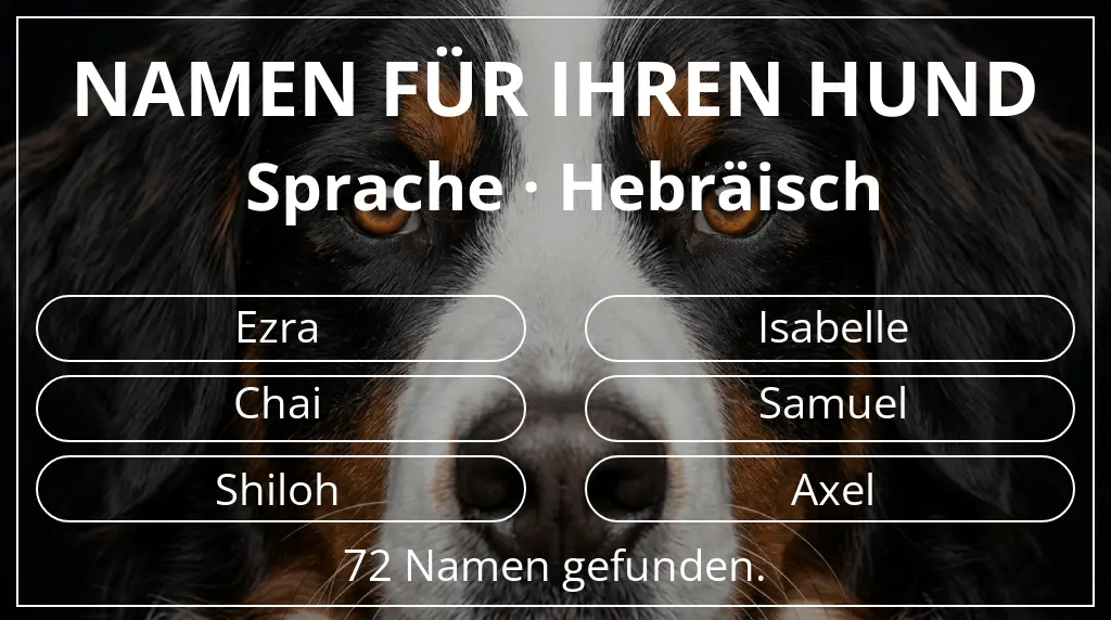 Namen für Hunde basierend auf sprache hebräisch