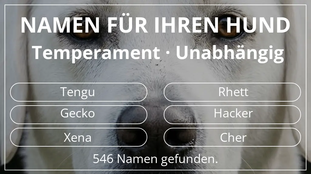 Hundenamen basierend auf temperament unabhängig