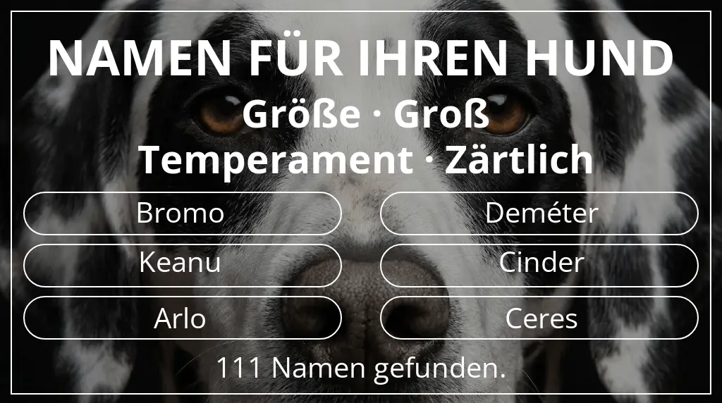 Hundenamen basierend auf größe groß und temperament zärtlich