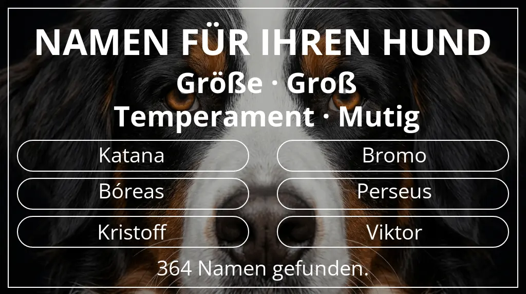 Hundenamen inspiriert von größe groß und temperament mutig
