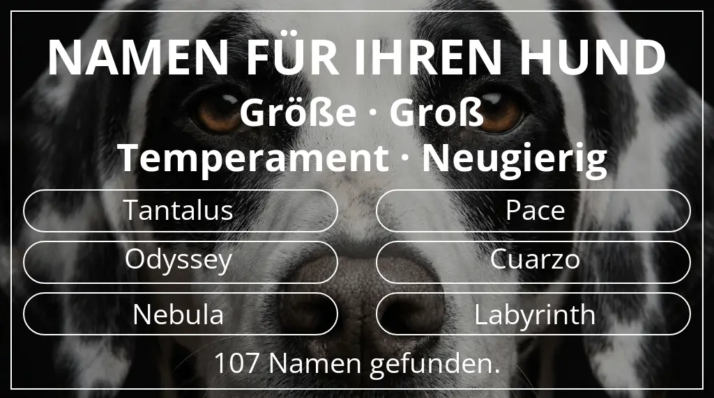 Namen für Hunde inspiriert von größe groß und temperament neugierig
