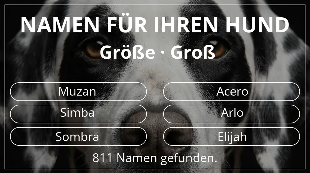 Hundenamen basierend auf größe groß