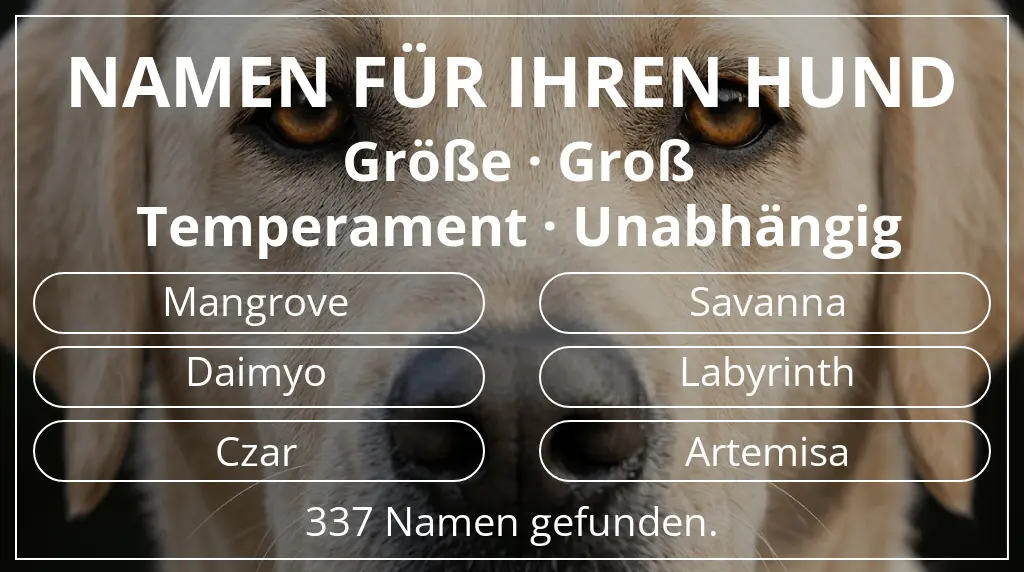 Namen für Hunde inspiriert von größe groß und temperament unabhängig
