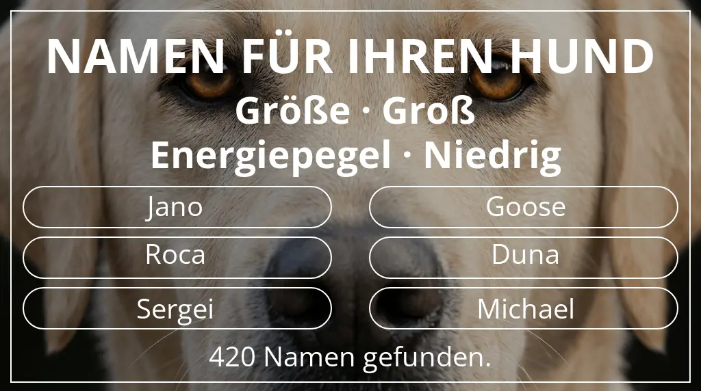 Namen für Hunde inspiriert von größe groß und energiepegel niedrig