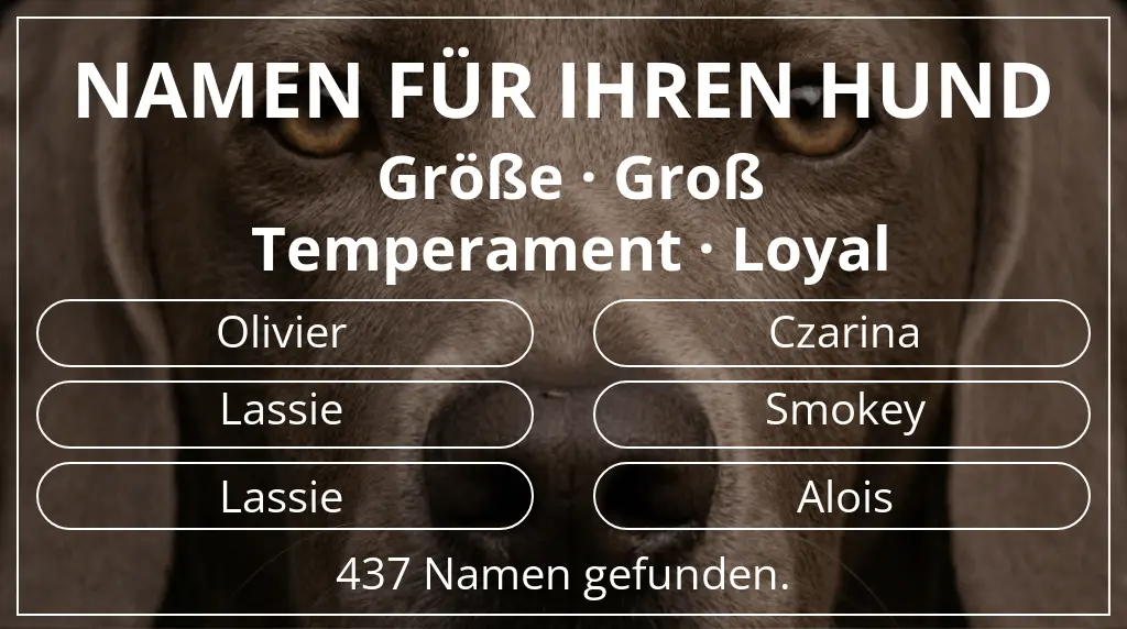 Namen für Hunde basierend auf größe groß und temperament loyal