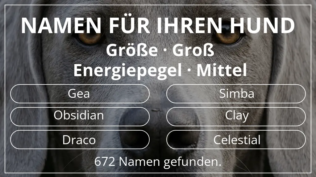 Hundenamen basierend auf größe groß und energiepegel mittel