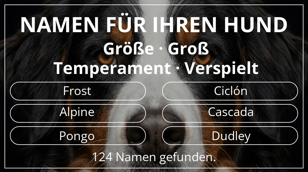 Hundenamen basierend auf größe groß und temperament verspielt
