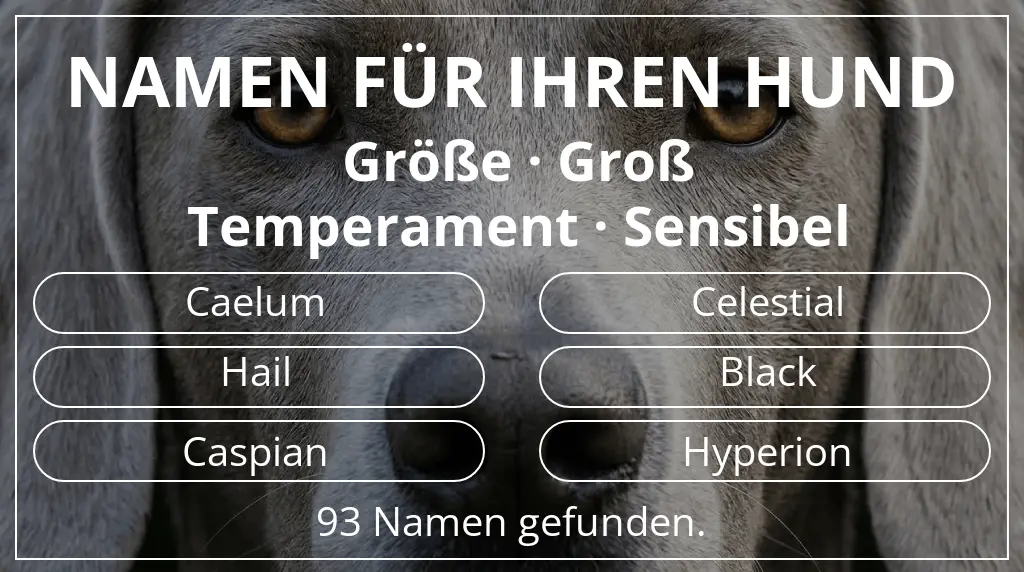Namen für Hunde basierend auf größe groß und temperament sensibel