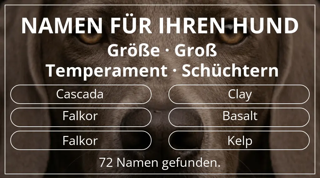 Namen für Hunde inspiriert von größe groß und temperament schüchtern