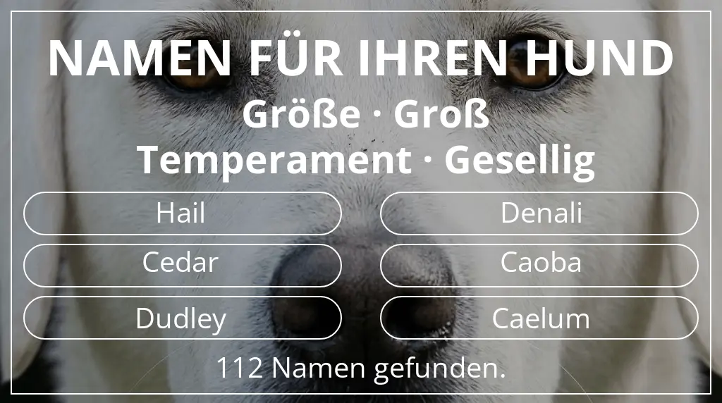 Namen für Hunde basierend auf größe groß und temperament gesellig