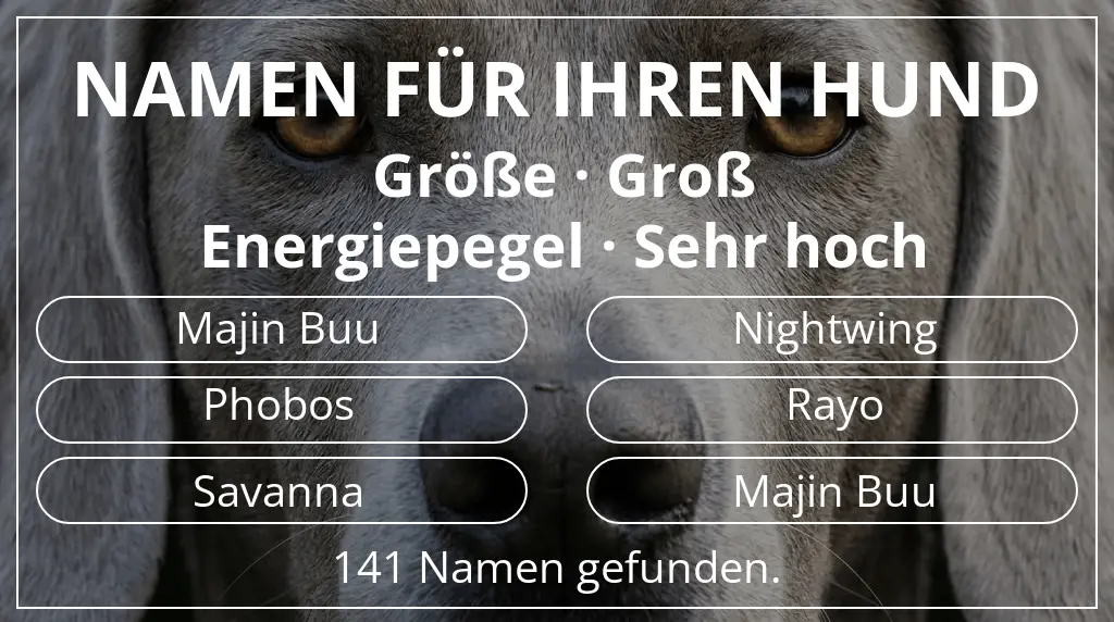 Hundenamen inspiriert von größe groß und energiepegel sehr hoch