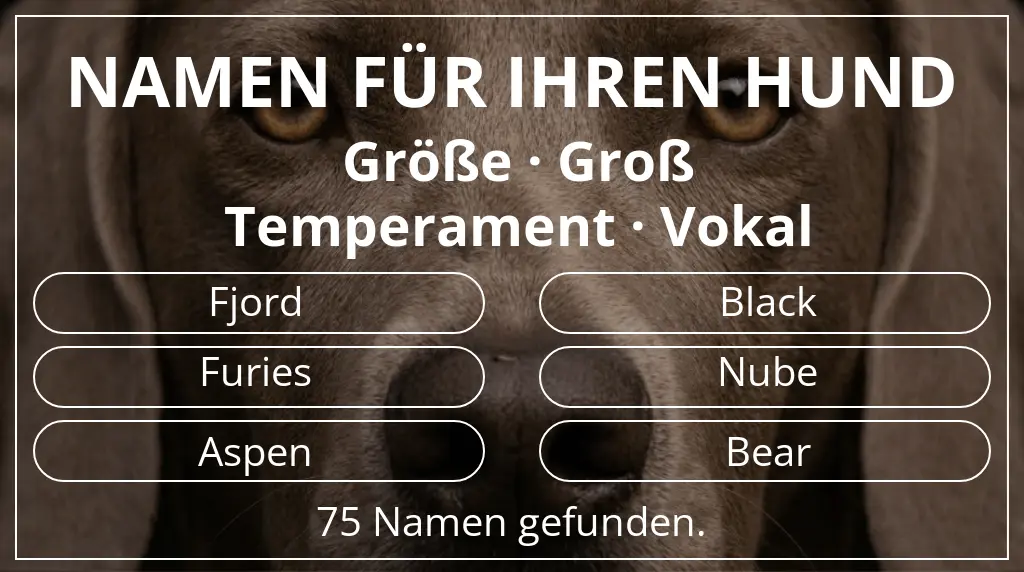 Namen für Hunde basierend auf größe groß und temperament vokal