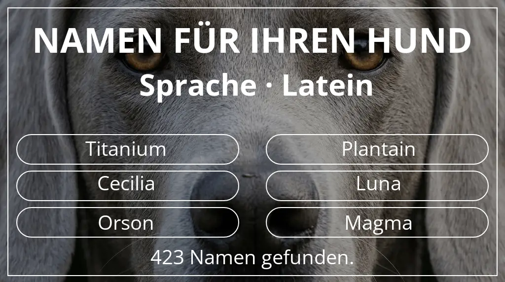 Hundenamen basierend auf sprache latein