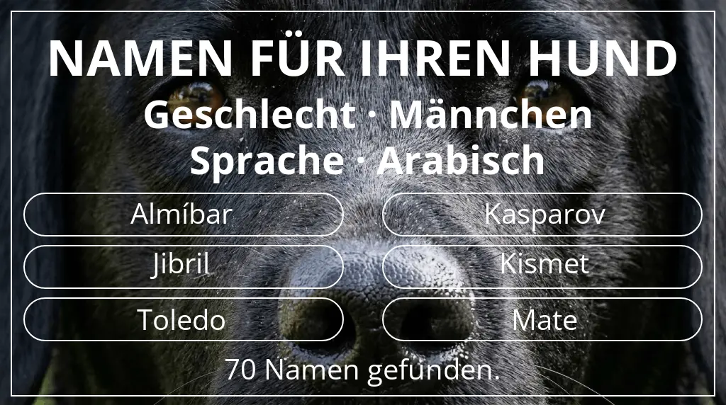 Hundenamen basierend auf geschlecht männchen und sprache arabisch
